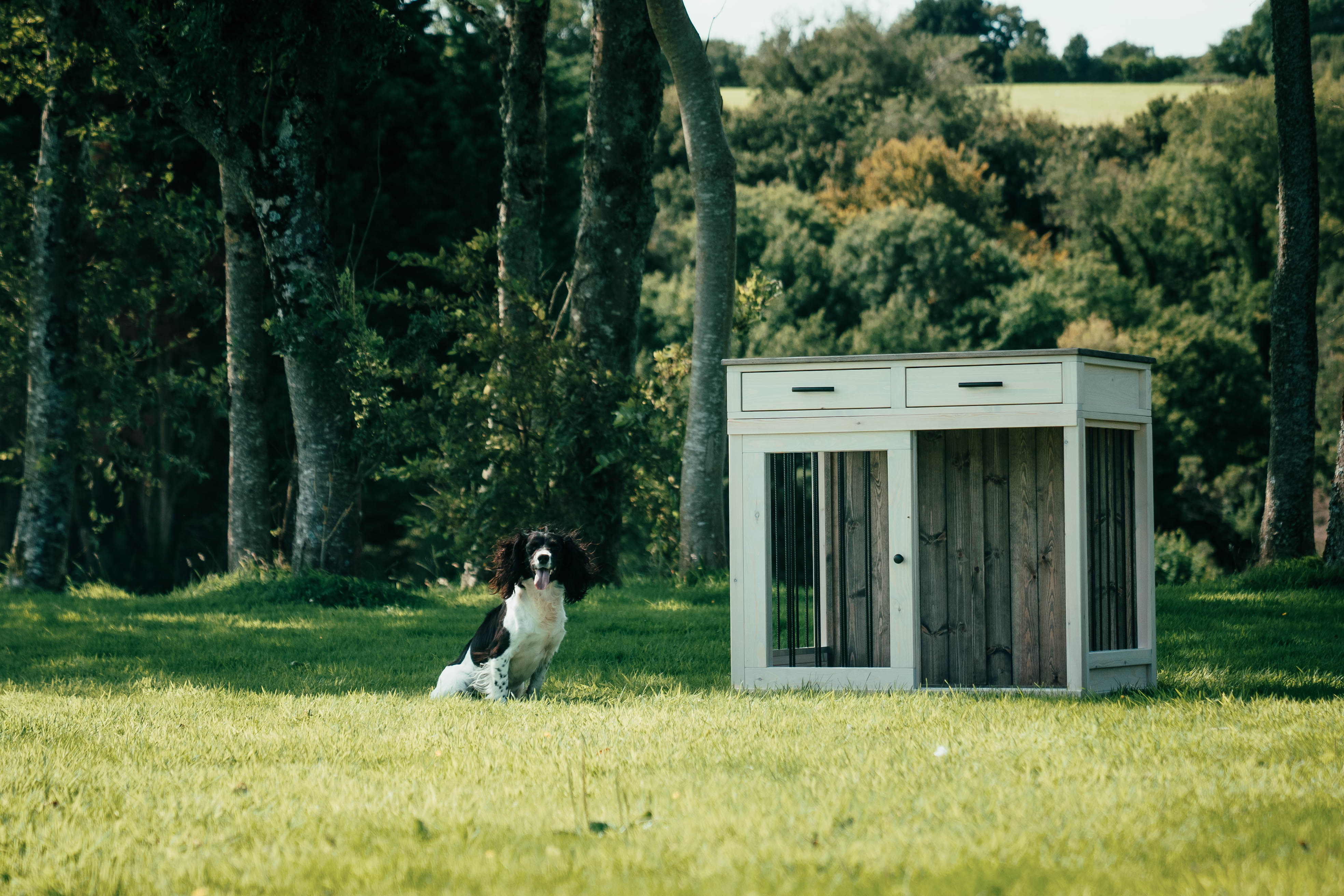 Custom wooden dog crate furniture displayed outdoors on grass beside a happy spaniel, showcasing Countryside Carpentry’s handcrafted dog crate design.