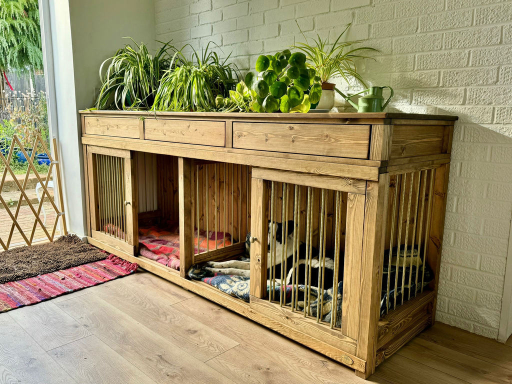 Custom double wooden dog crate with two sleeping bays and three drawers, used as indoor furniture for two dogs in a bright living space