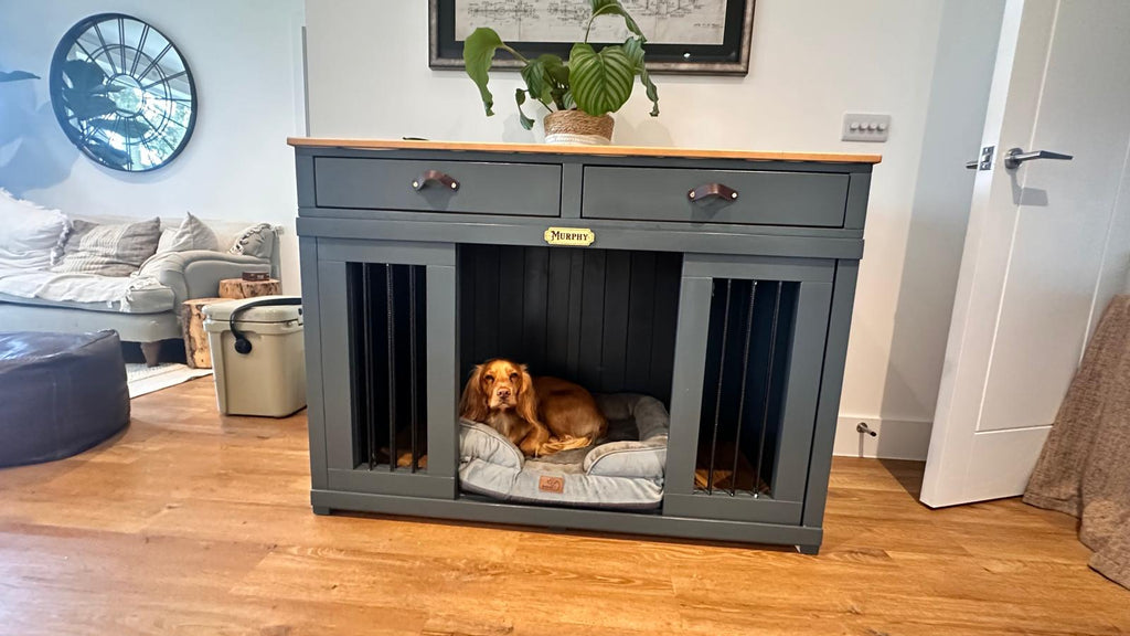 Dog inside a gray wooden pet crate with a wooden top in a living room.