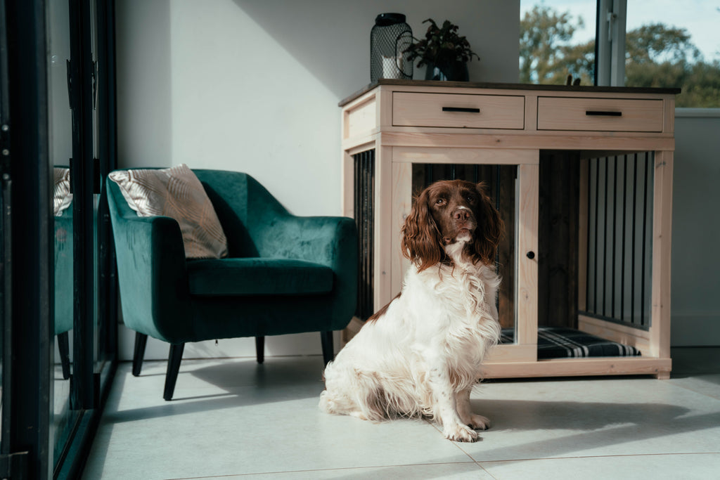 Single wooden dog crate with drawers in a modern living room beside a Springer Spaniel