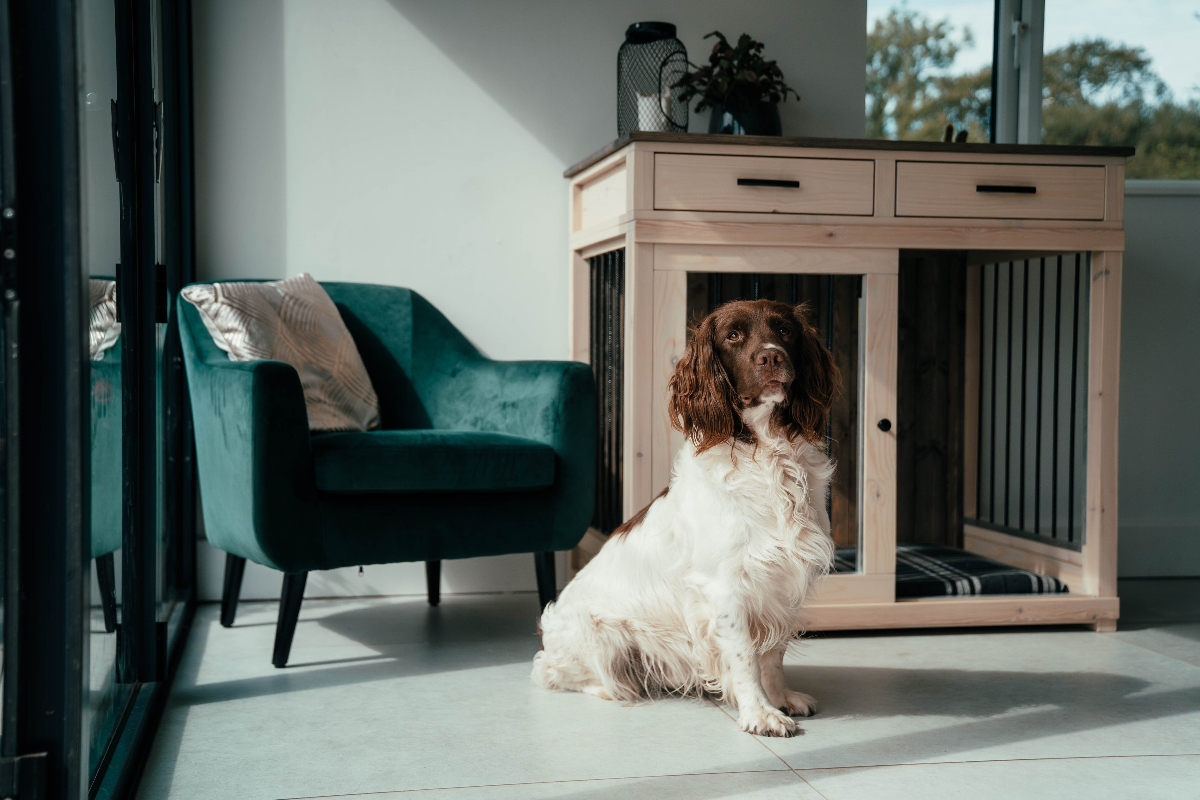 Single wooden dog crate with drawers in a modern living room beside a Springer Spaniel