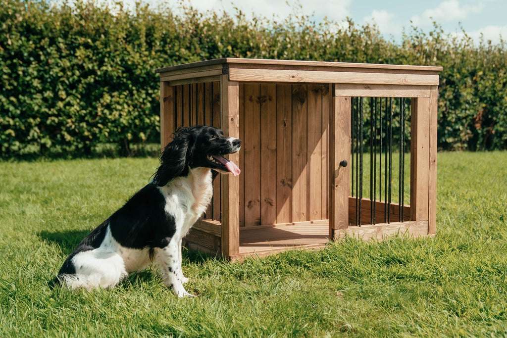 Black and white spaniel sitting beside a handcrafted single wooden dog crate, showing the size and design outdoors.